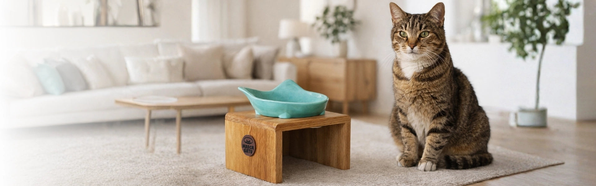 Diseñados para gatos <br>con estándares muy altos