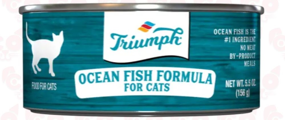 Triumph Lata Ocean Fish