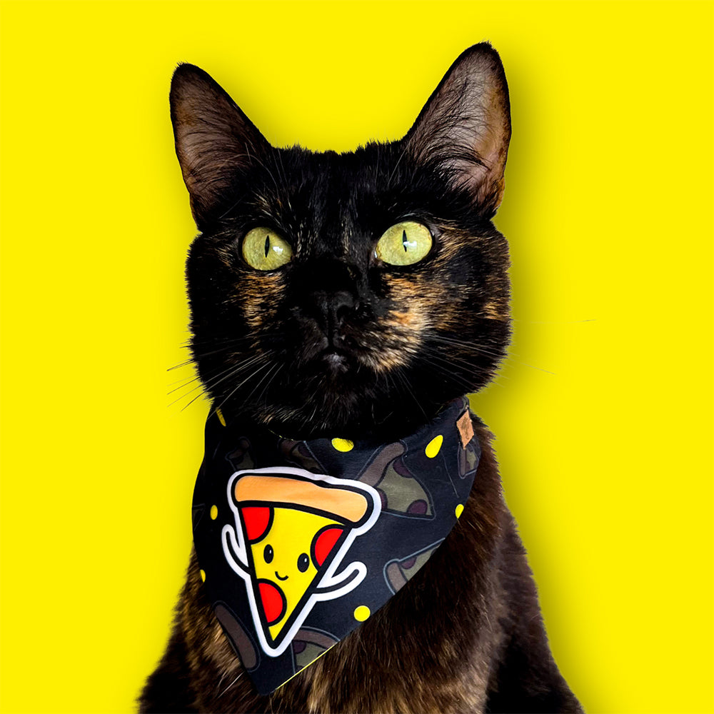 Pañoleta - Cat Foodie - Michi Pizzero