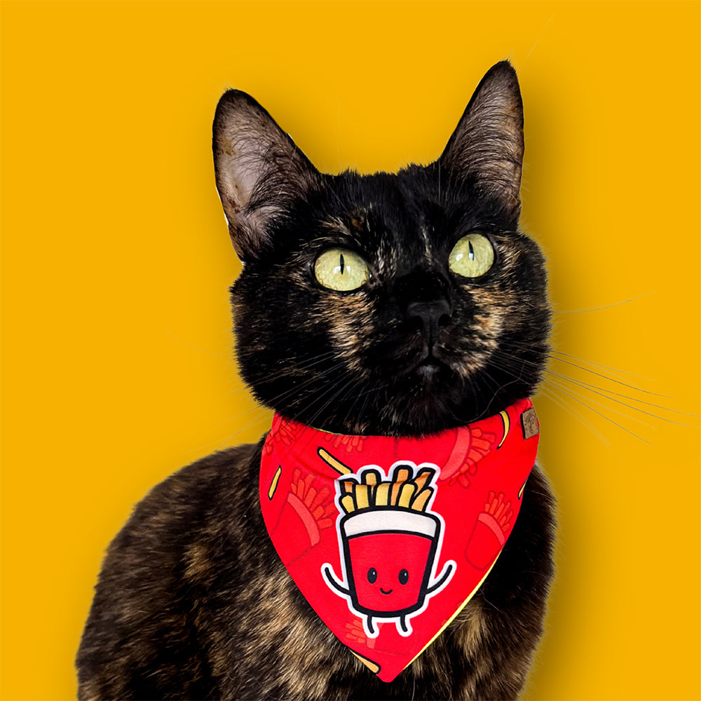 Pañoleta - Cat Foodie - Purr Fries