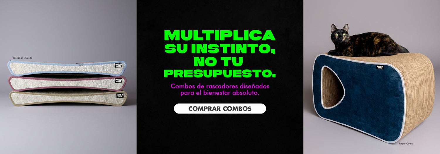 RASCADORES para GATOS: Diseño moderno y alta resistencia