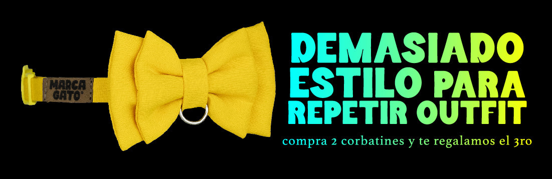 corbatines para gatos