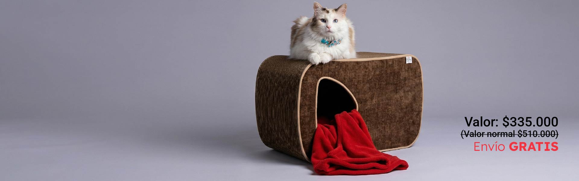 ¿Tu gato te despierta en la madrugada? Esto puede cambiar.