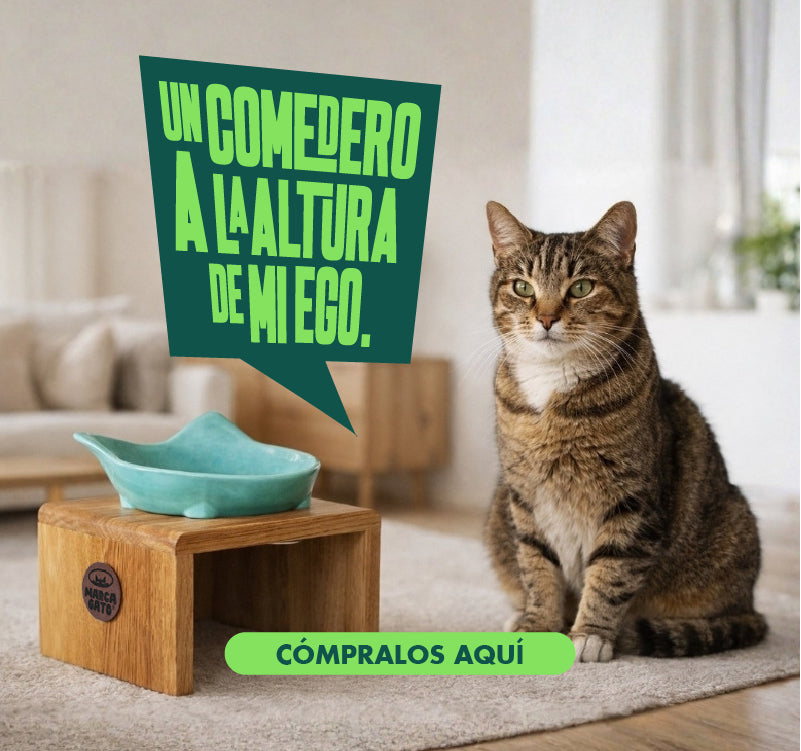 Comedero para gatos comedero elevado con plato de cerámica comedero en roble para mascotas