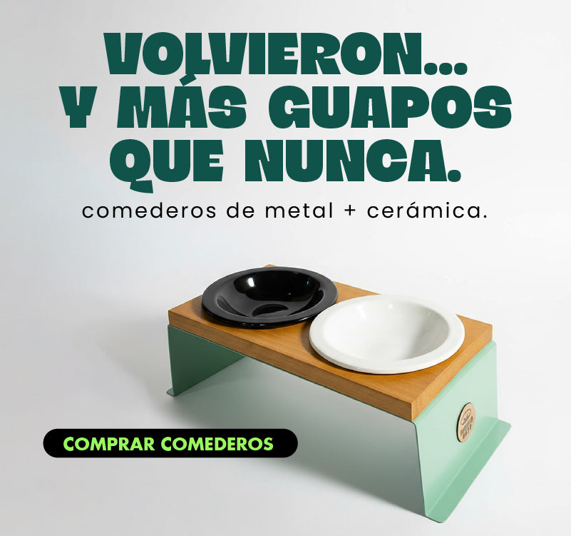 Comederos para gatos, comederos elevados, comederos de metal 