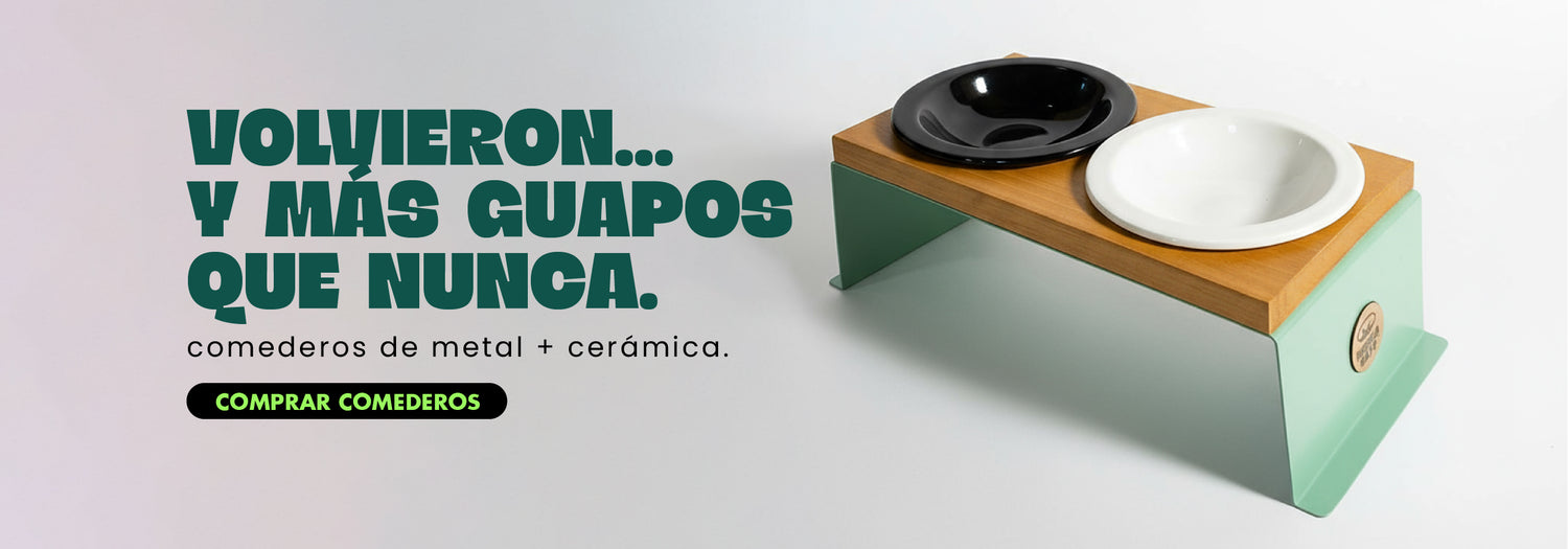 Comederos para gatos, comederos elevados, comederos de metal 