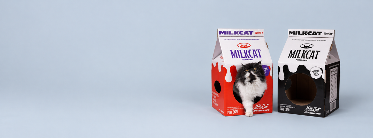 <br><br>Rascador
<br> Caja de leche