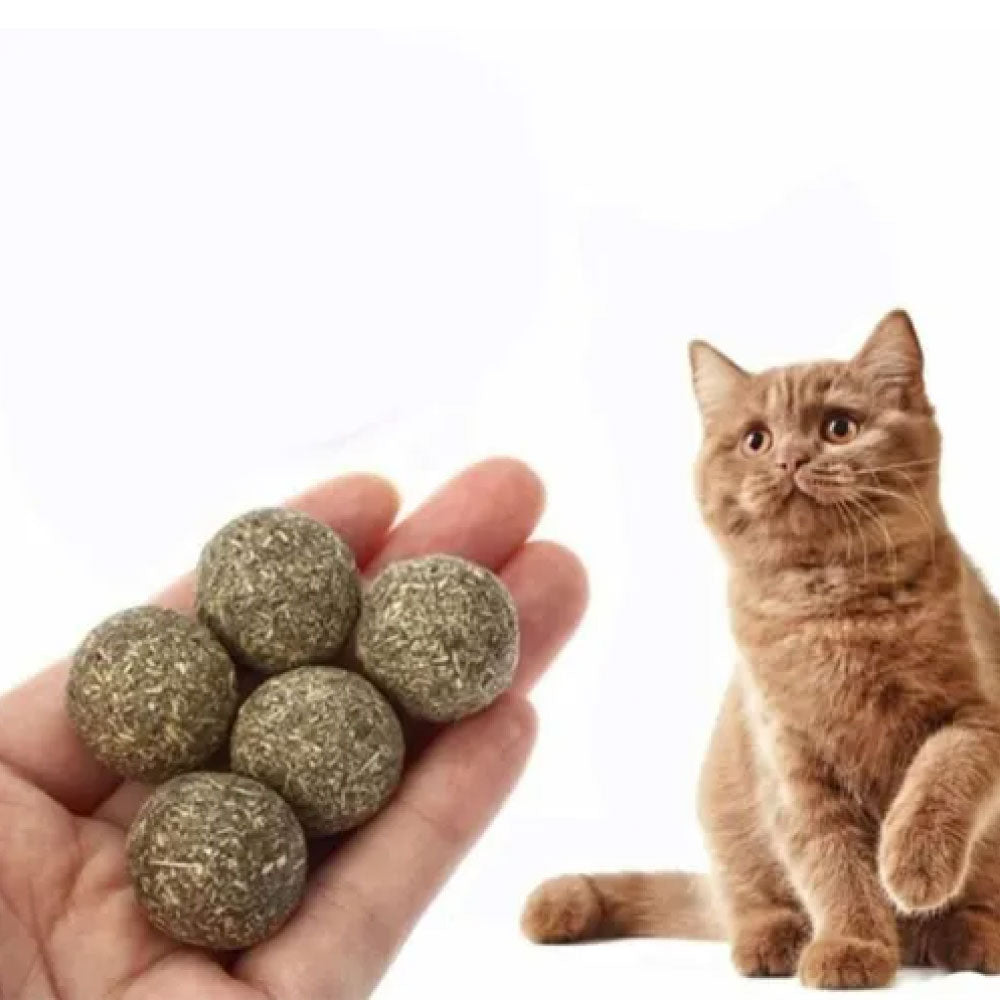 Bolitas de catnip para gatos.