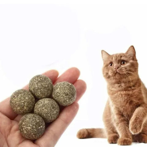 Bolitas de Catnip