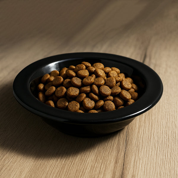 Bowl en cerámica. platos de cerámica plato negro para gatos