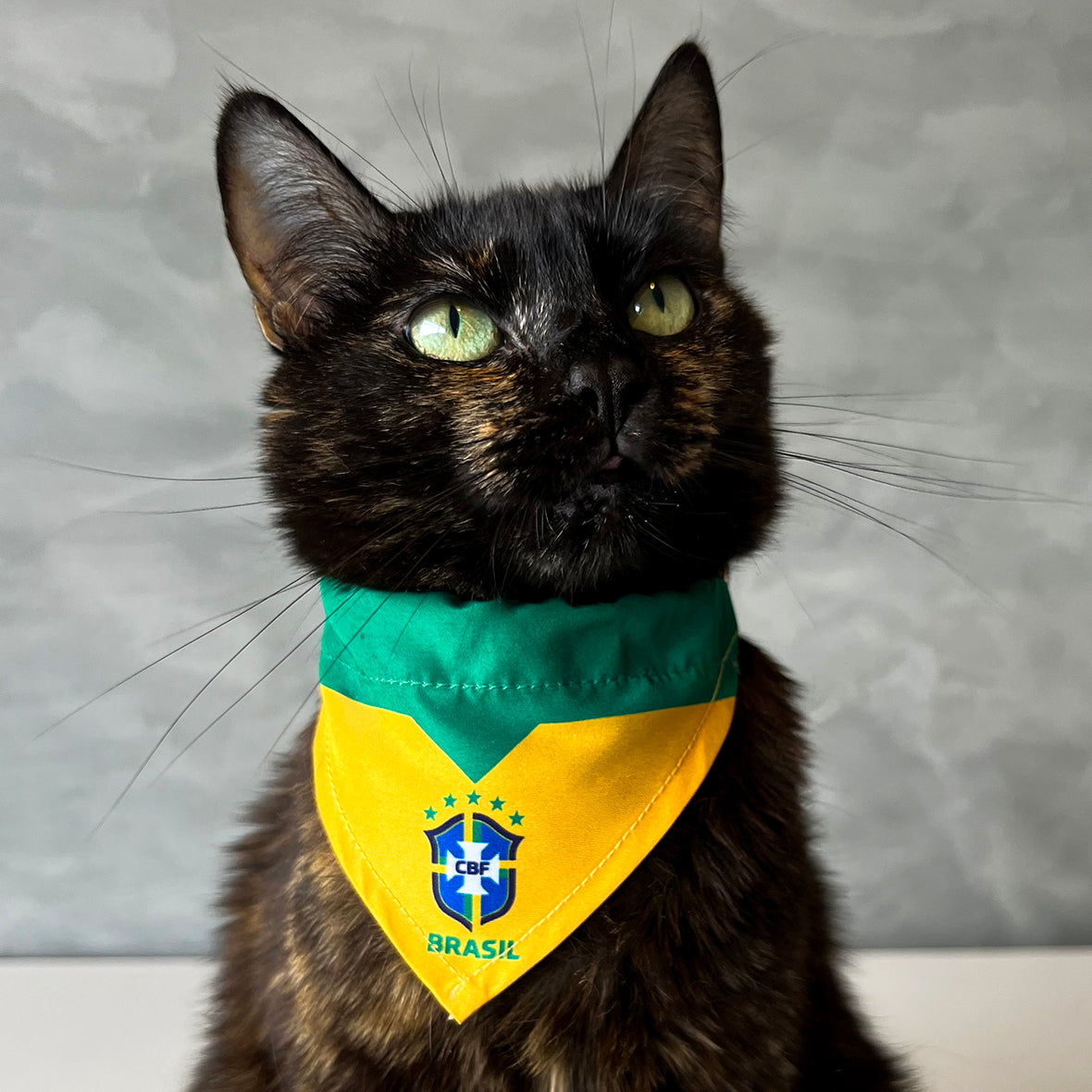 
Pañoleta gatos selección Brasil felina Colombia mundial 2026 fútbol

