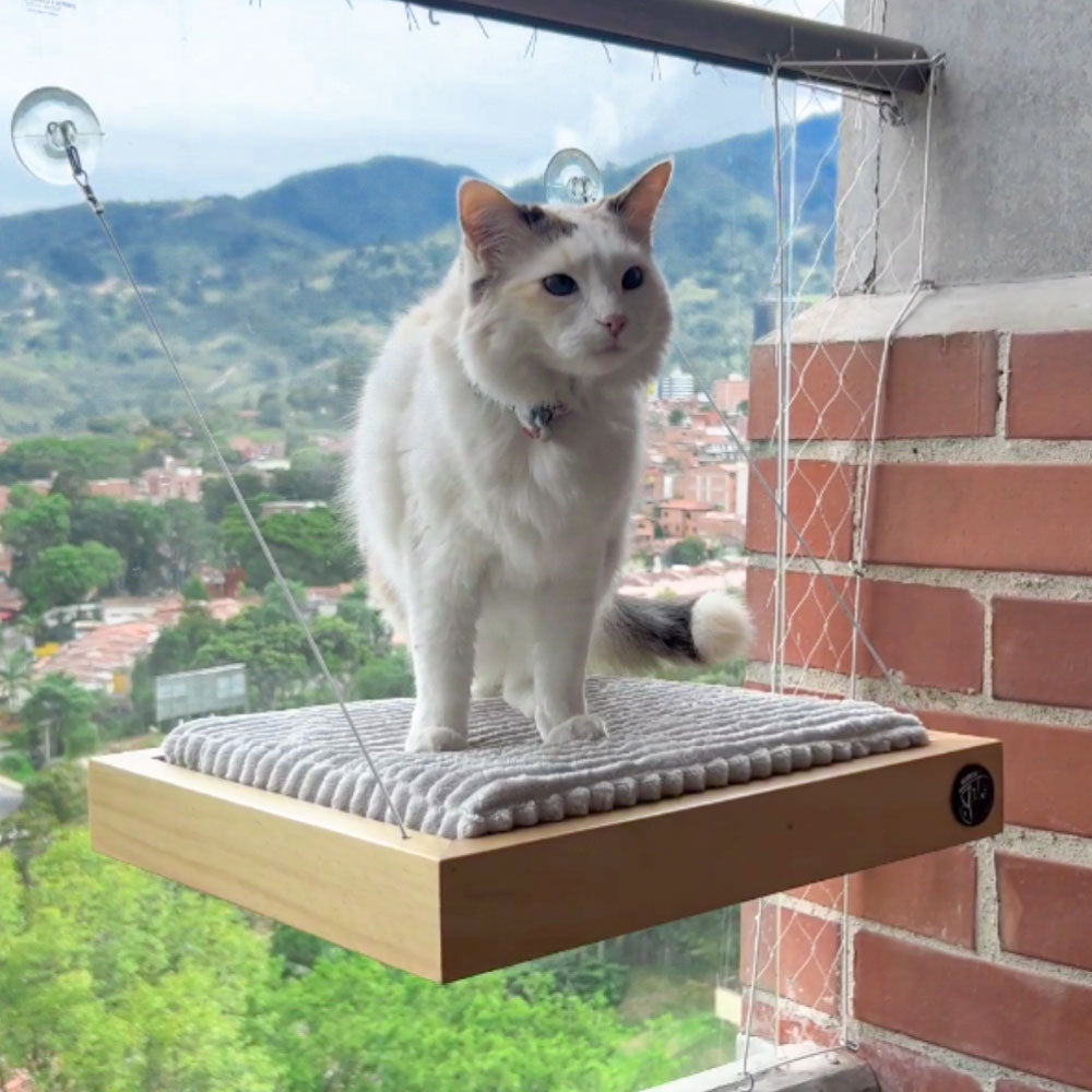 Cama para gatos colgantos.
