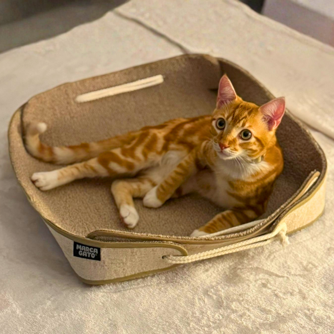 Cama Rasguñadora
