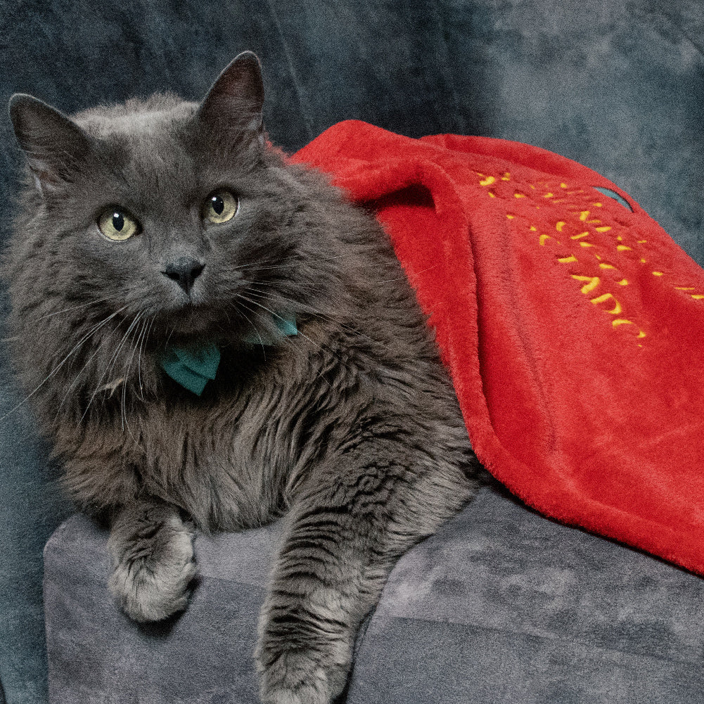 Manta para gatos rojas.