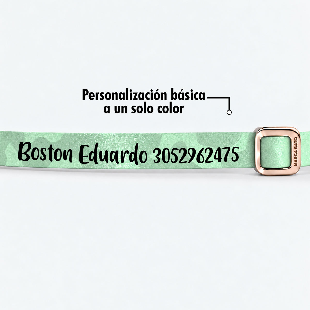 Collar Cuero Vegano - Agua