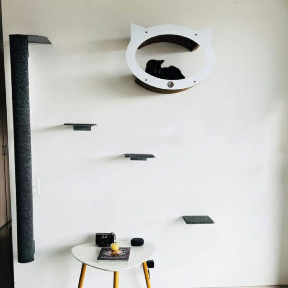 Gimnacio para gatos foxy 