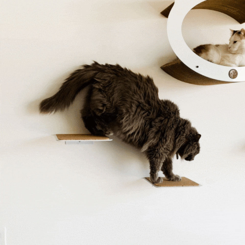 Gimnasio para gatos Mafalda