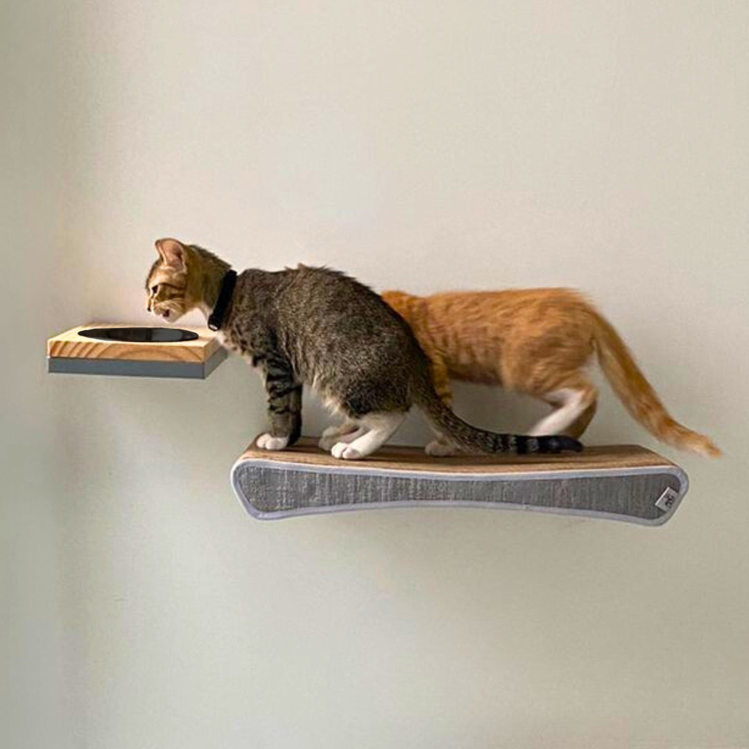 Comedero elevado de pared para gatos con plato de cerámica