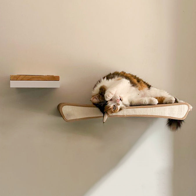 Comedero elevado de pared para gatos con plato de cerámica