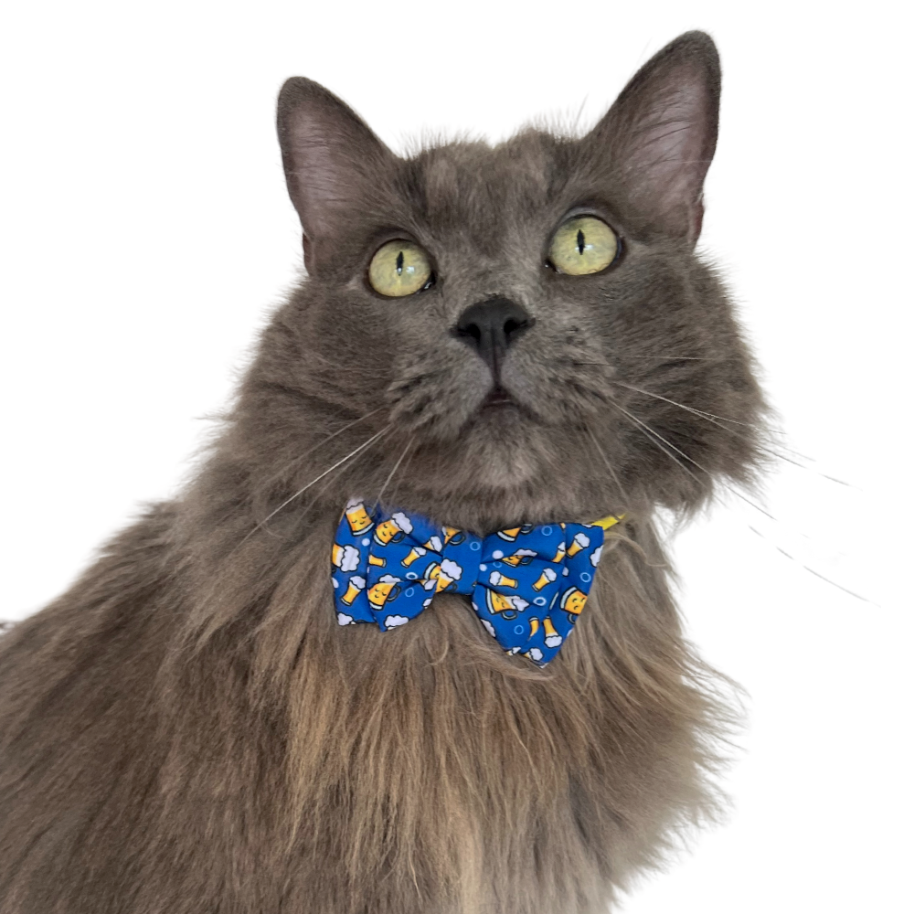 Corbatín para gatos 