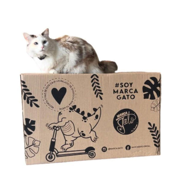 Caja para gatos michi saurio