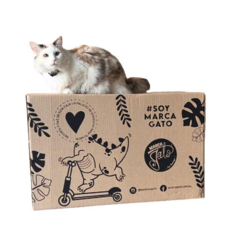 Caja cueva Para Gato