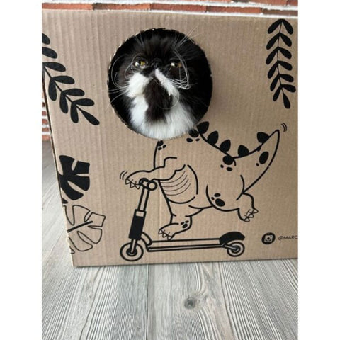 Caja cueva Para Gato