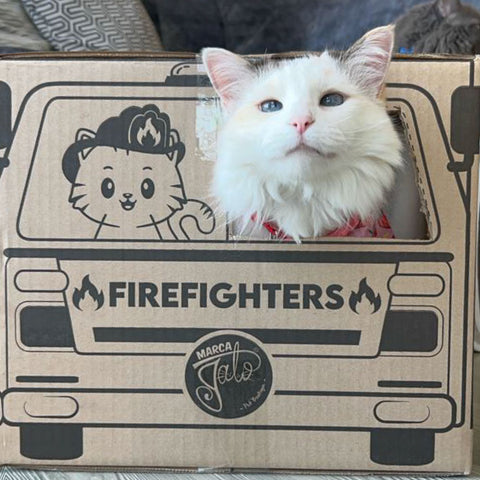 Caja FireFighters Para Gato