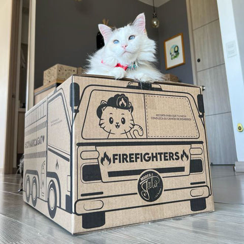 Caja FireFighters Para Gato