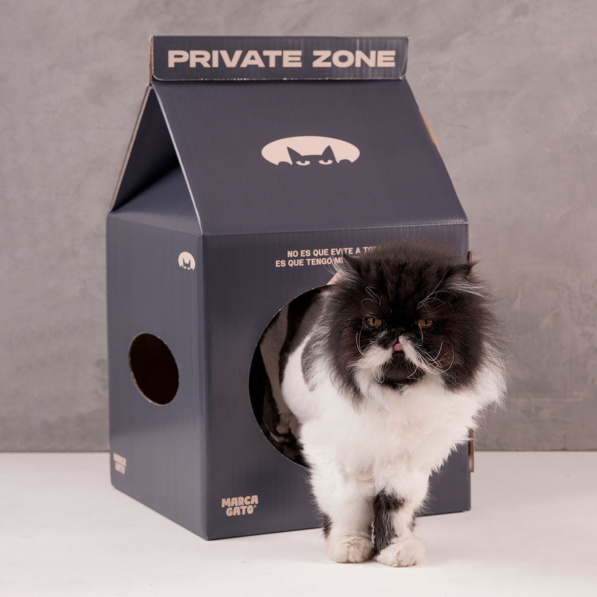 Cama Refugio Rascador Gatos Cartón Resistente Caja Leche Cueva Felino