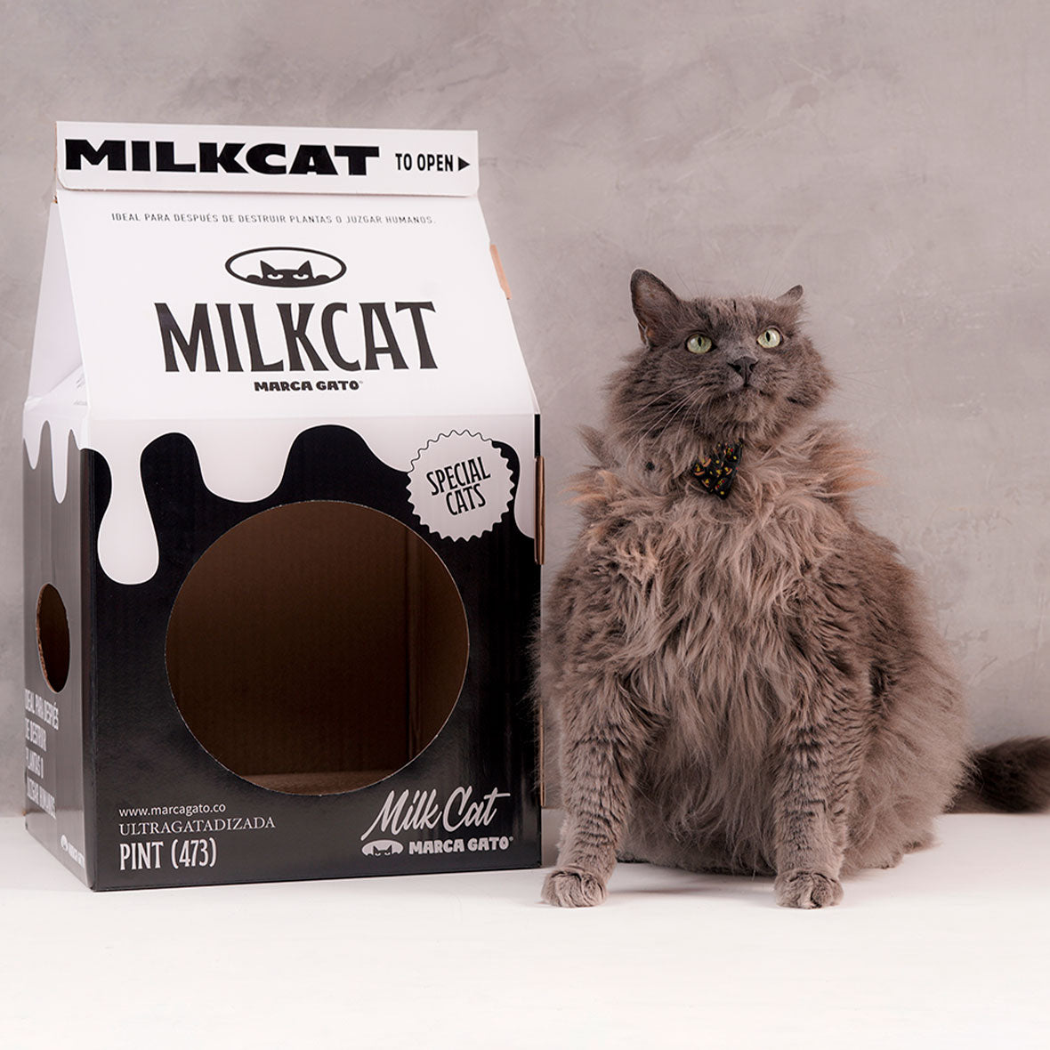 Casa Cueva Gatos Rascador Interior Cartón Caja Leche Refugio Mascota