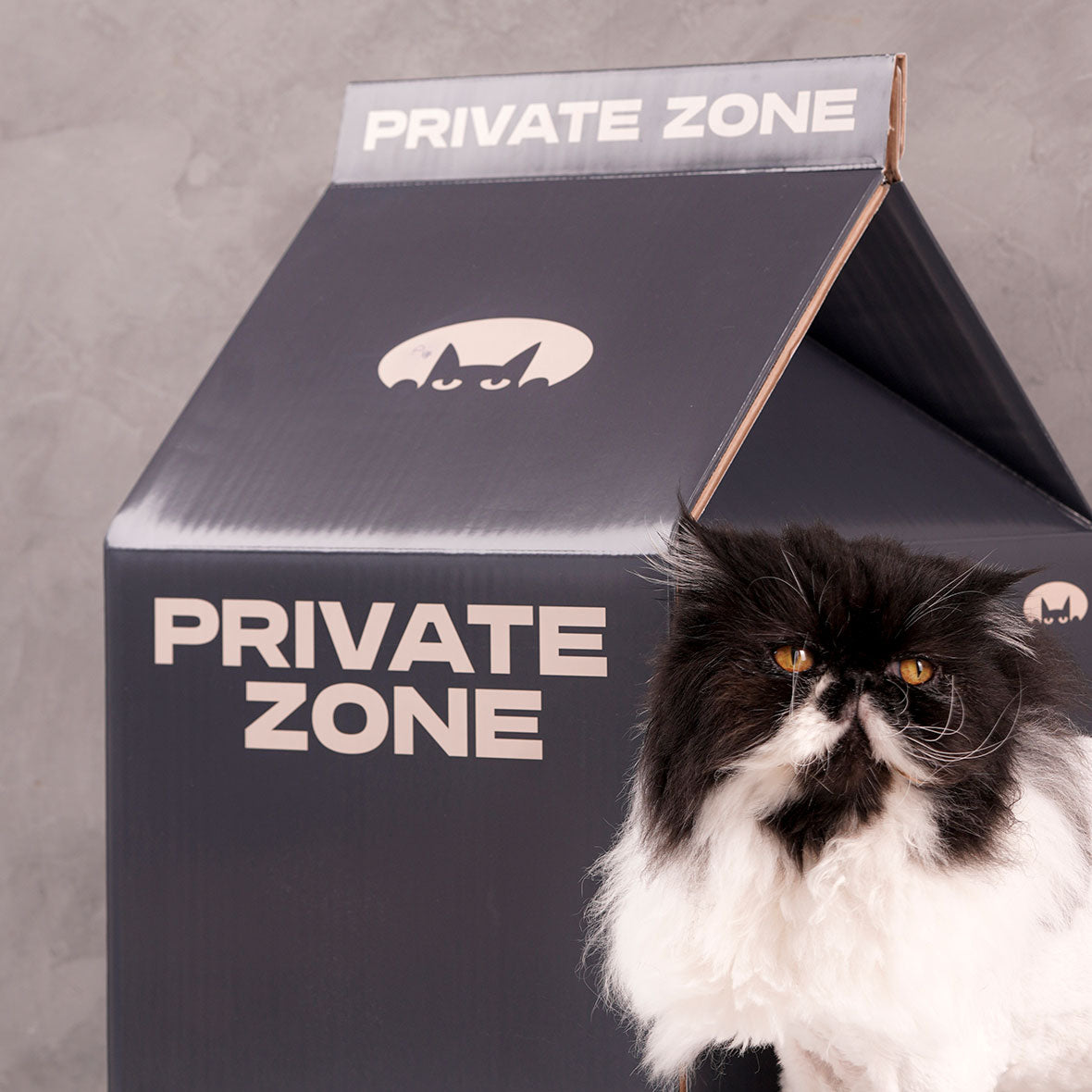 Cama Rascador para Gatos Caja de Leche Cartón Refugio Cueva Mascota