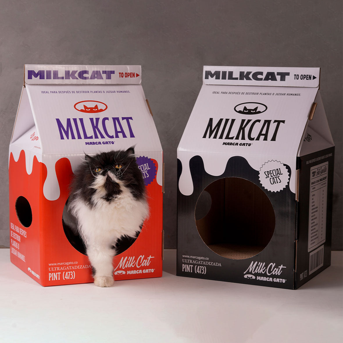 asa Rascador Gatos Estilo Retro Caja Leche Cartón Cueva Decoración