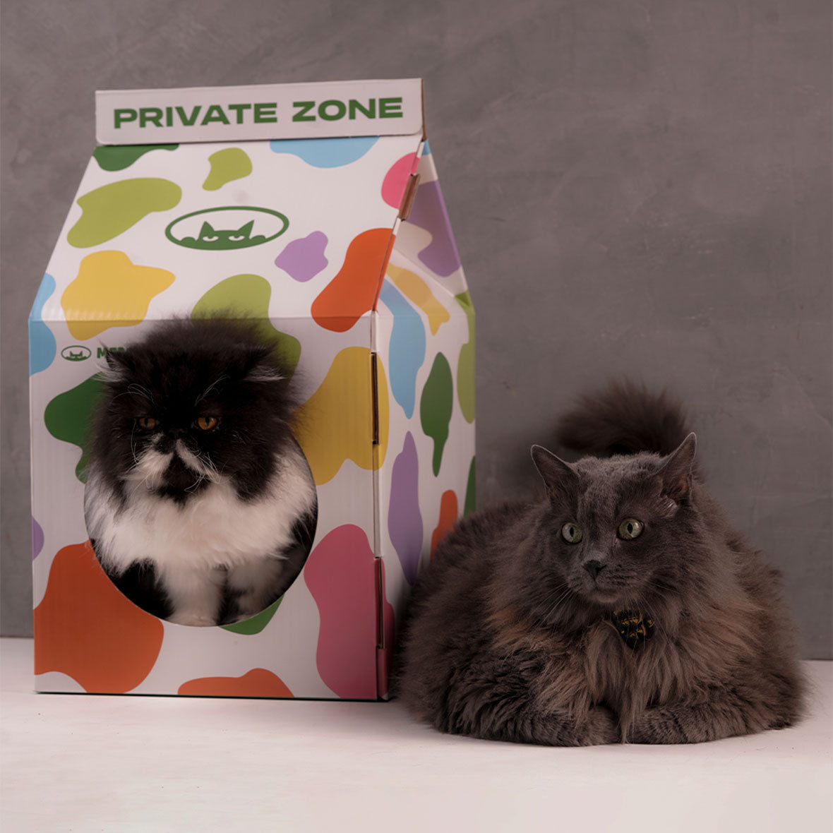 Rascador Cama 2en1 Gatos Caja Leche Cartón Refugio Cueva Felino