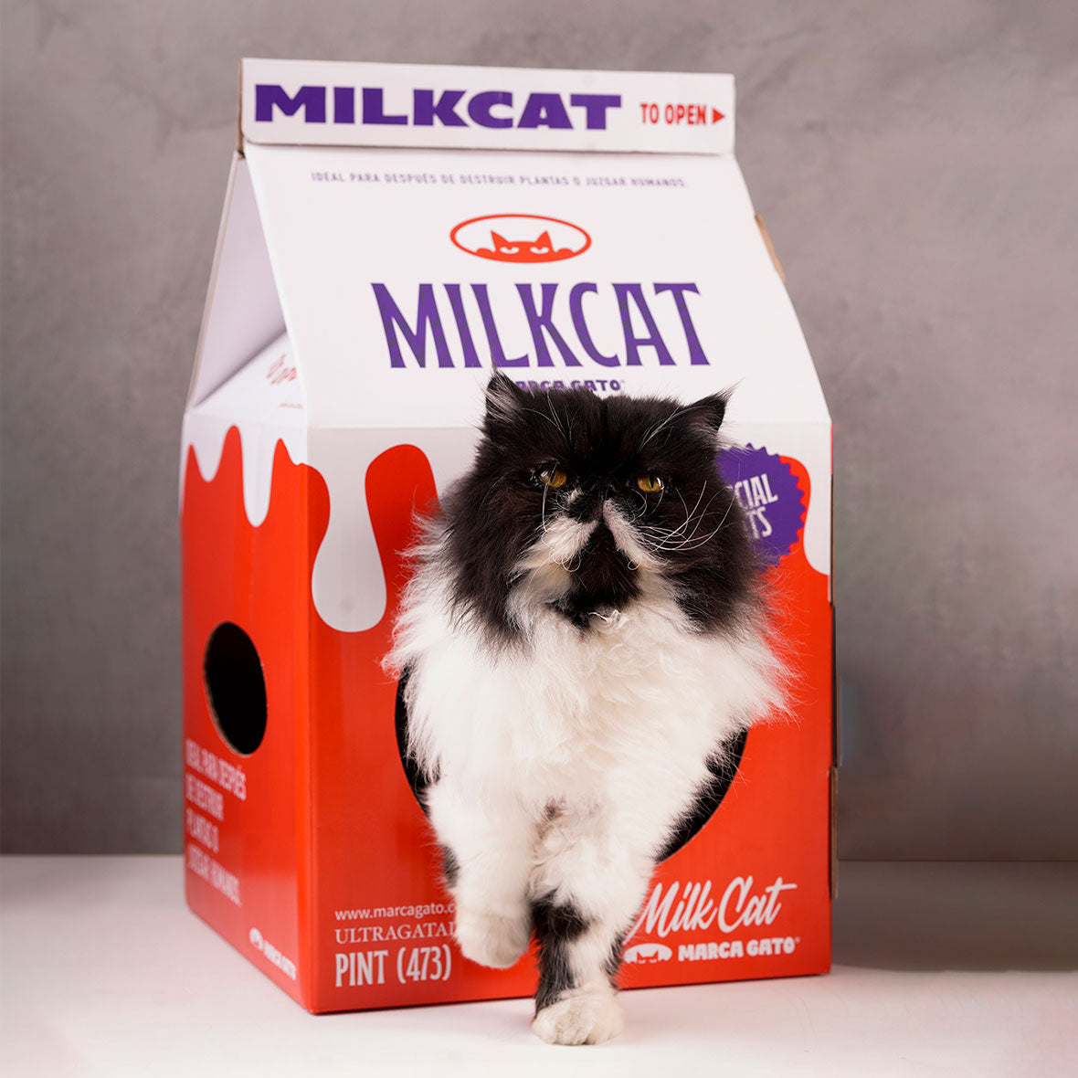 Casa Refugio Gatos Caja Leche Rascador Cartón Cama Cueva Mascota