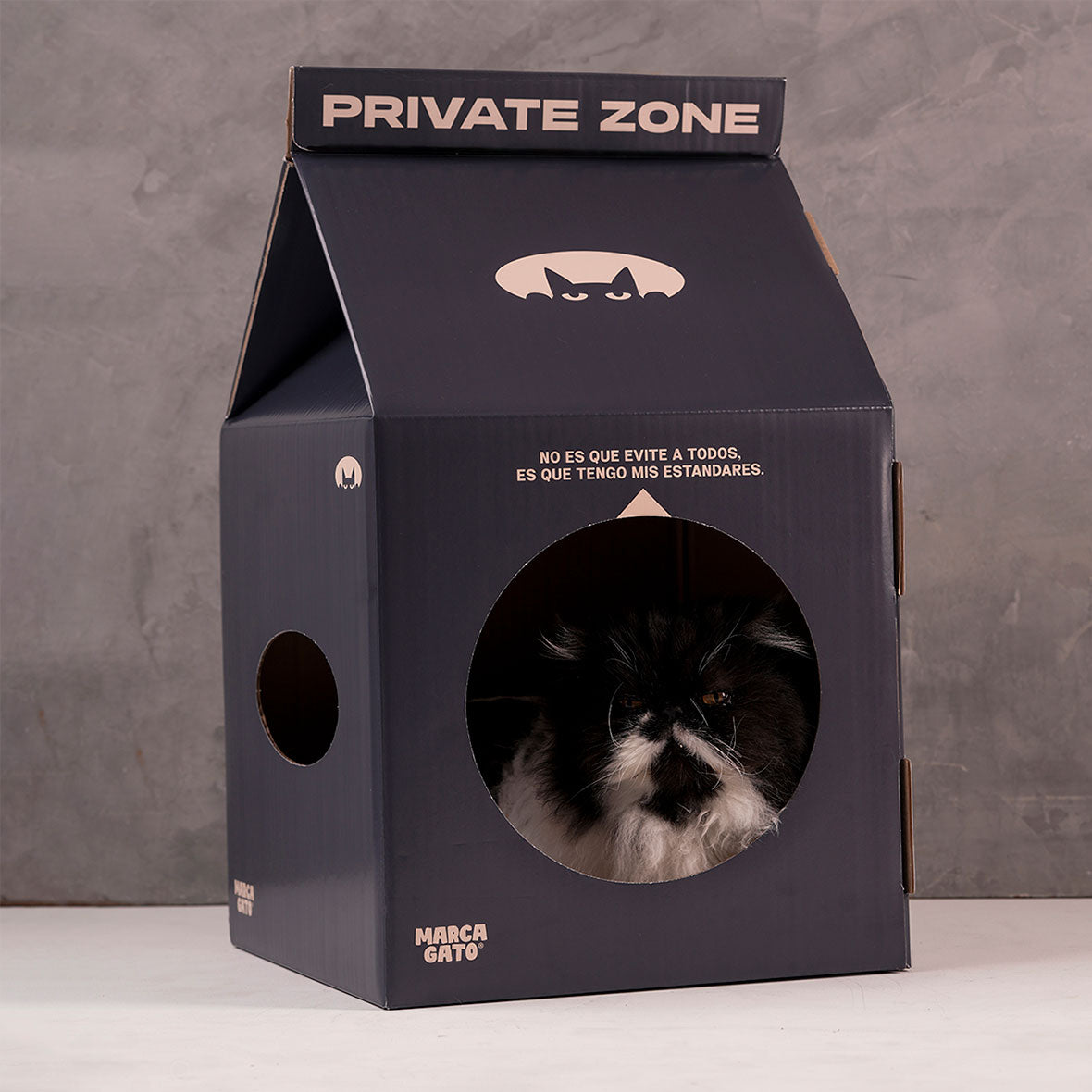 Casa Refugio Gatos Caja Leche Retro Rascador Cartón Decoración Mascota