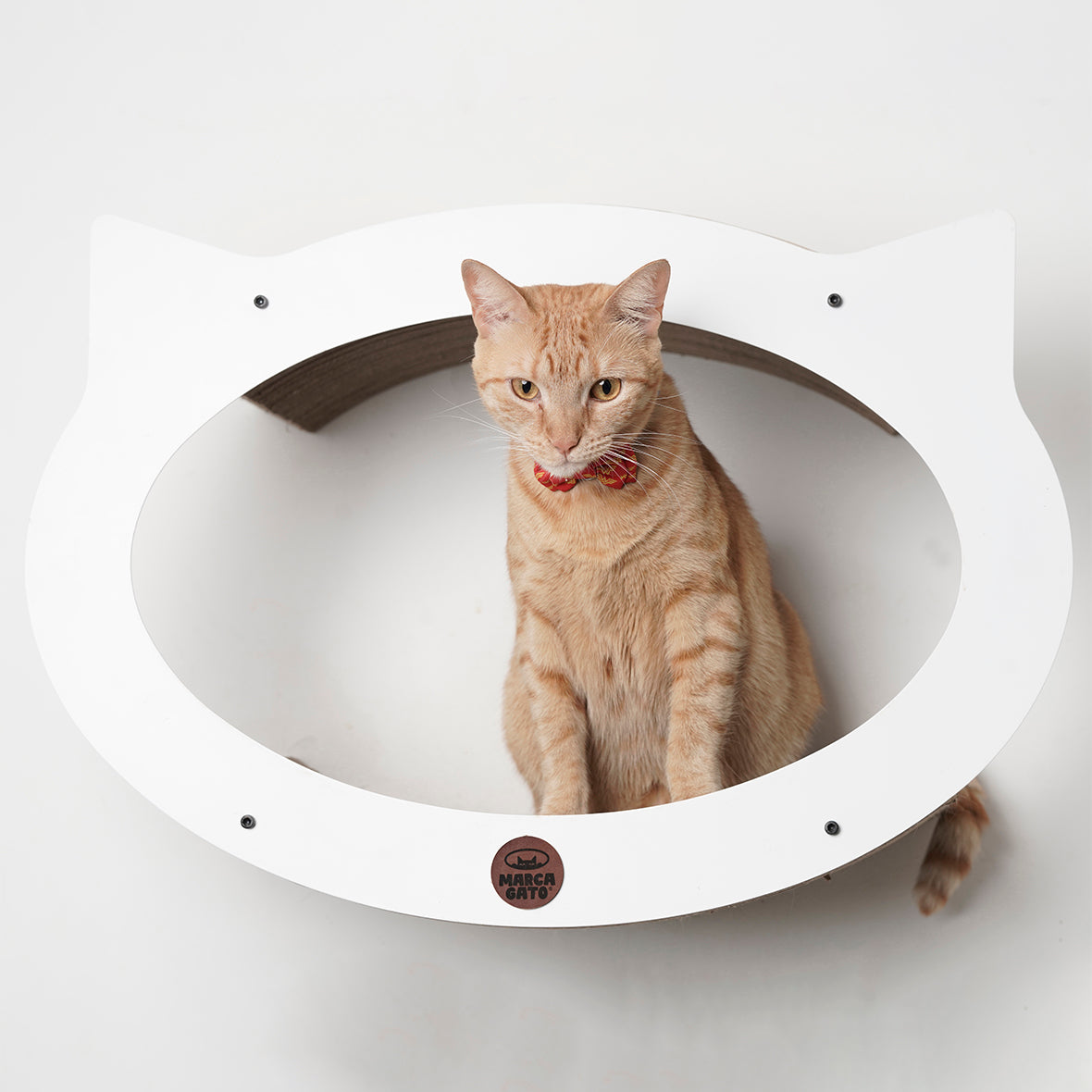 Gimnasio para gatos Michi