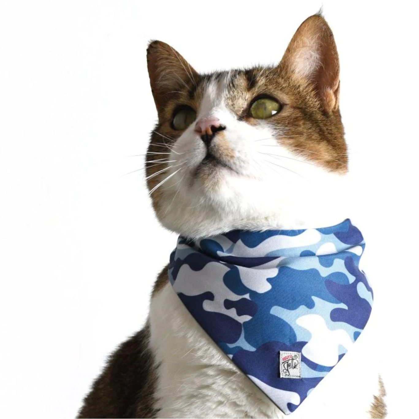 Pañoleta CATmuflados-Azul