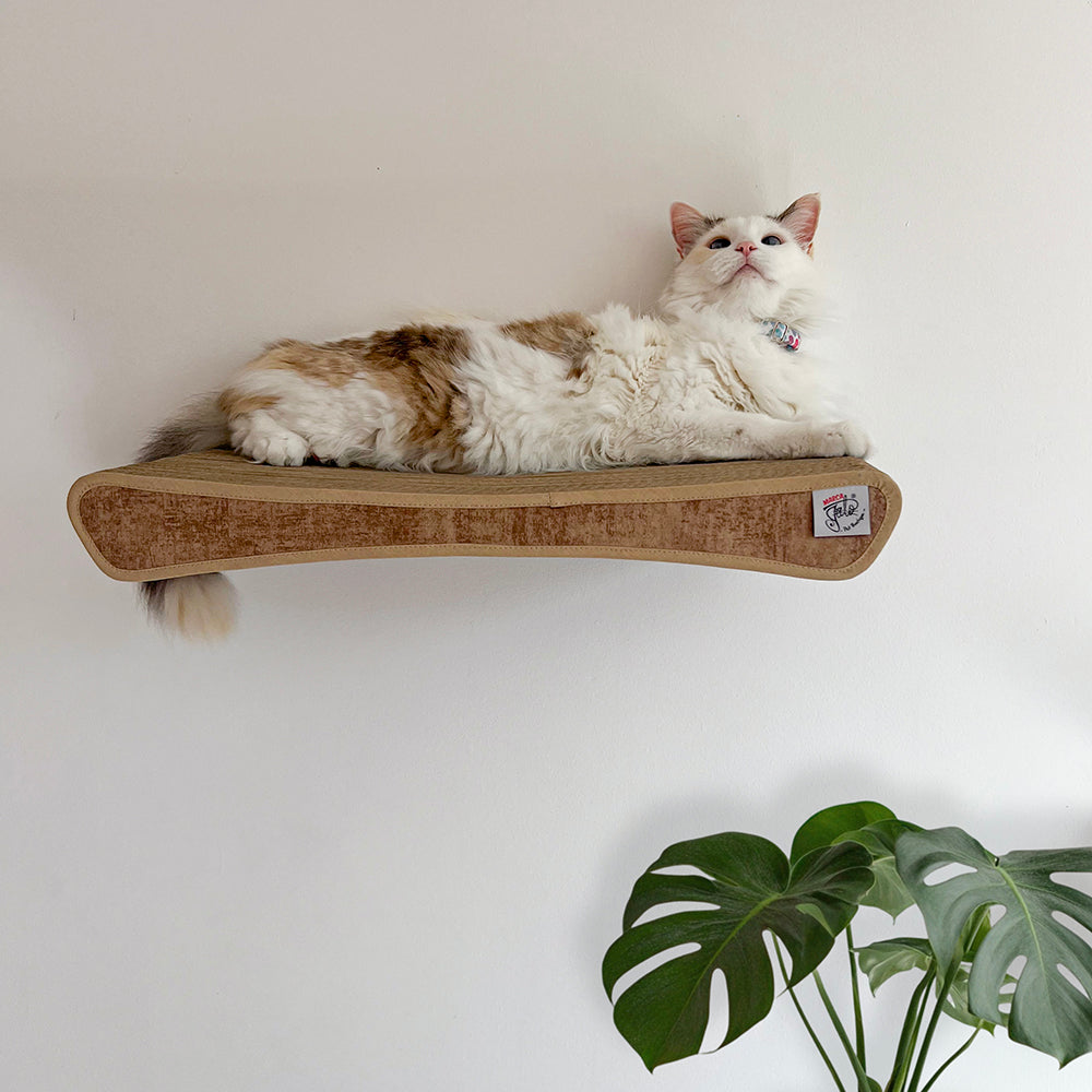 rascador horizontalde carton corrudago doble pared para gatos anclado a la pared