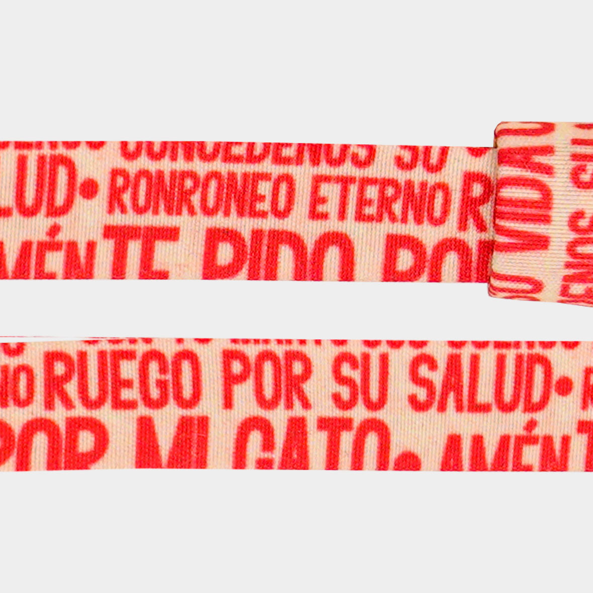 Collar para gatos virgen de los gatos religioso bendición rosas mascota