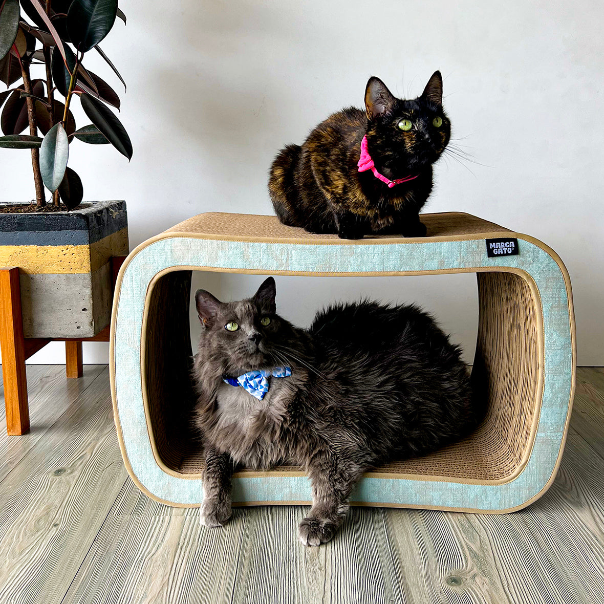 Rascador Brownie dos niveles cartón corrugado gatos grandes varios felinos
