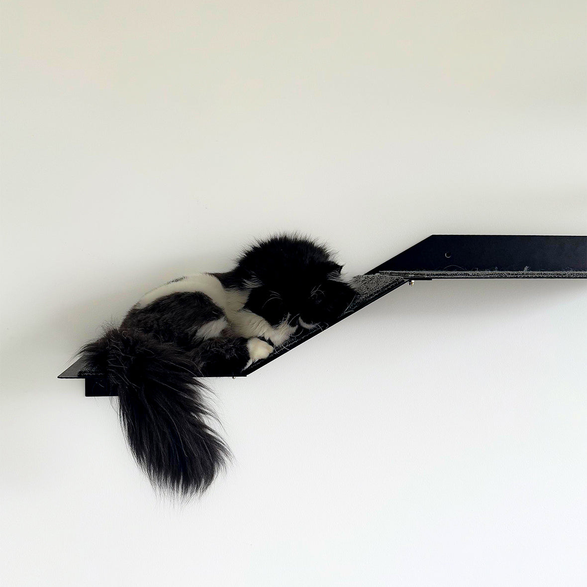 Gimnasio para gatos Tinto