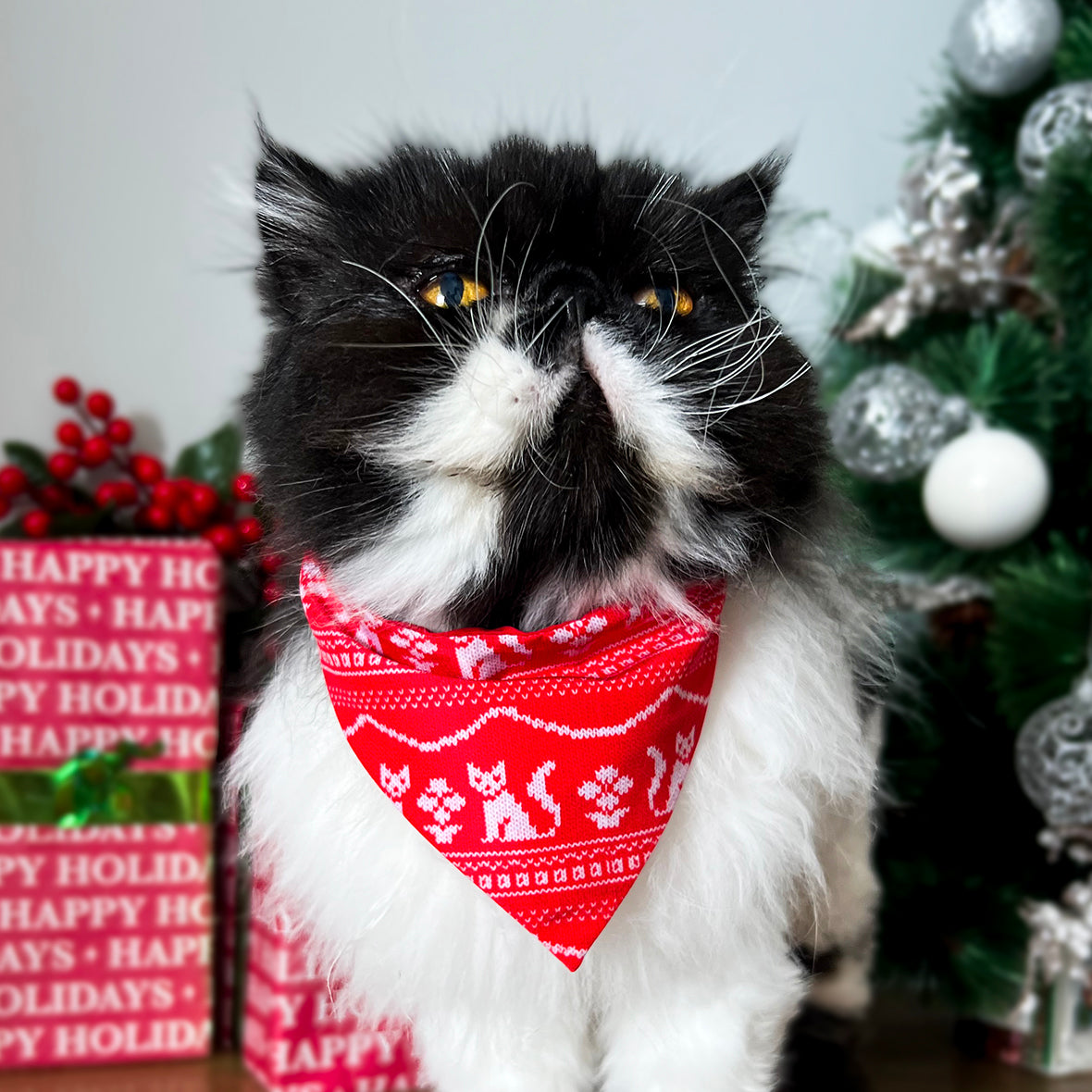 Pañoleta NaviCat Suéter Cat pañoleta de navidad para gatos con collar