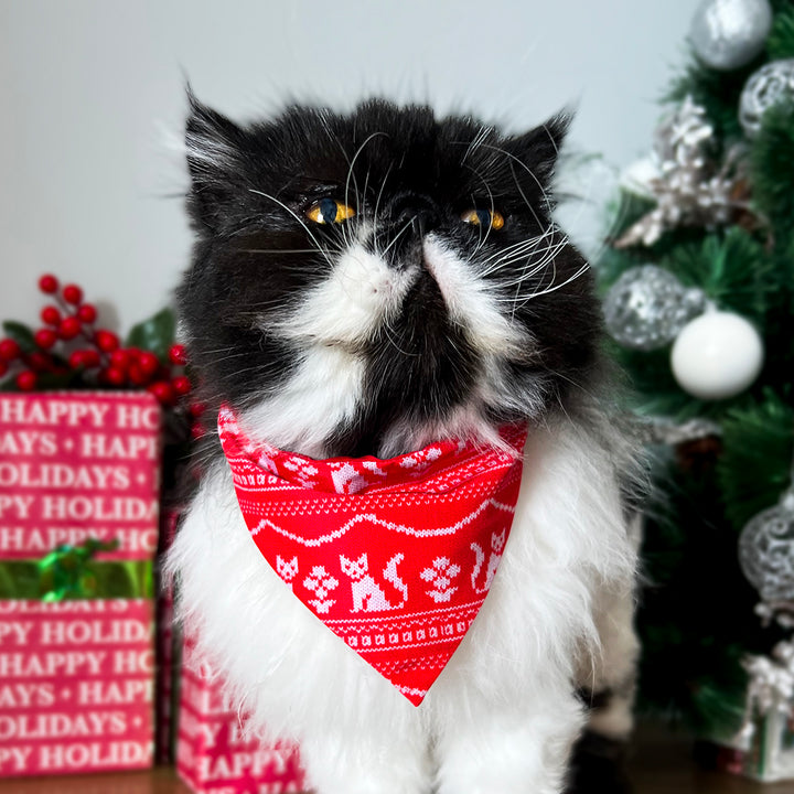 Pañoleta NaviCat Suéter Cat pañoleta de navidad para gatos con collar