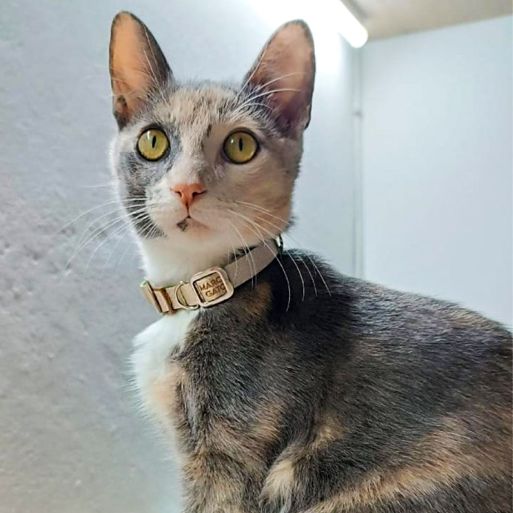 Collar en cuero vegano para gato