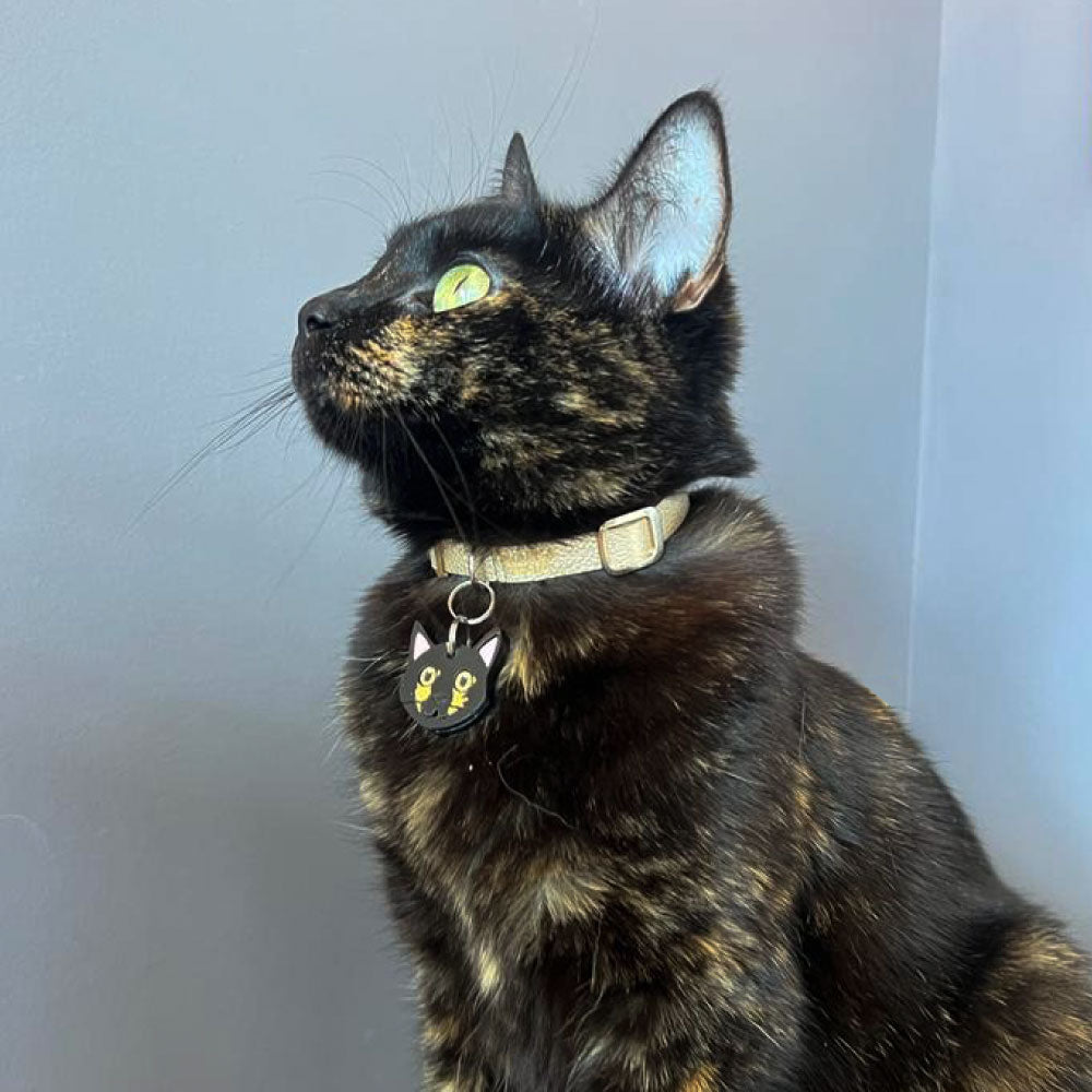 Collar en cuero vegano para gato