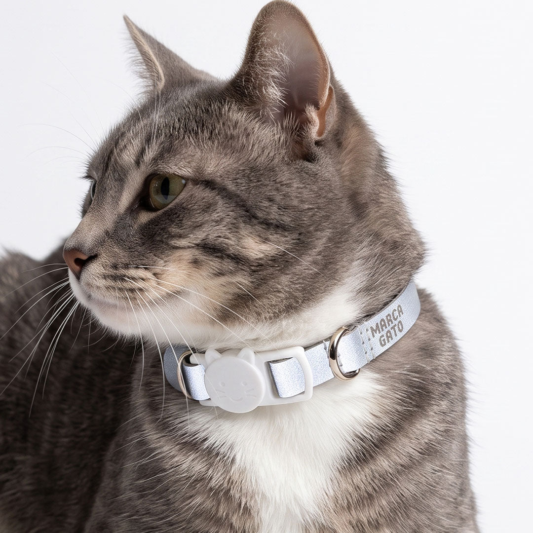 Collar reflectivo para gatos tallas ajustables XS S cuero vegano broche seguridad