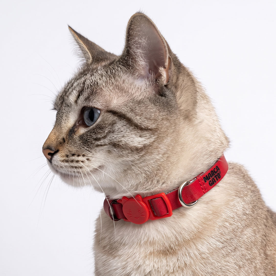 Collar gatos cuero vegano ajustable broche liberación rápida seguridad tallas