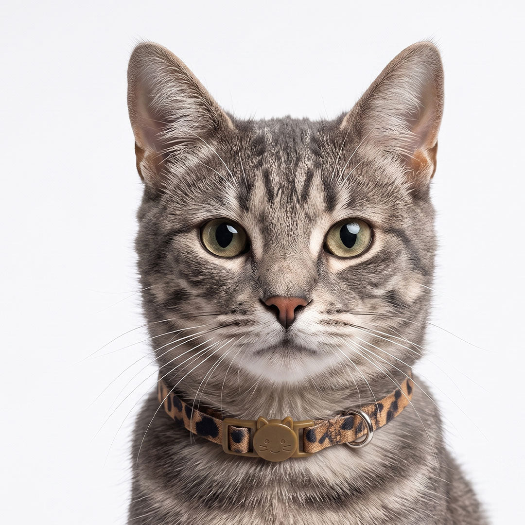 Collar para gatos cuero vegano premium regulable broche seguridad tallas ajustables
