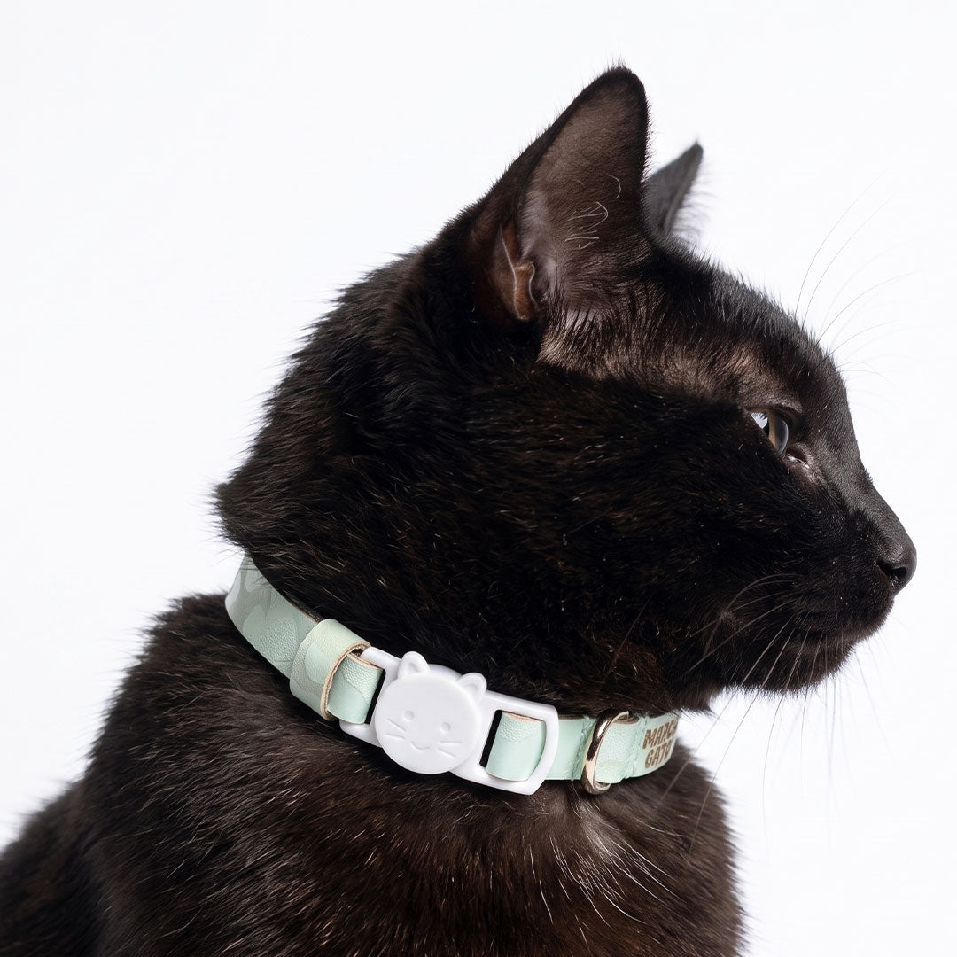 Collar para gatos cuero vegano premium regulable broche seguridad tallas ajustables color Agua